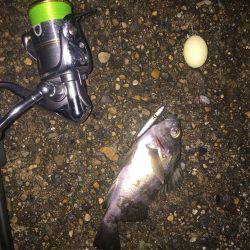 アクロバットな短時間ライト